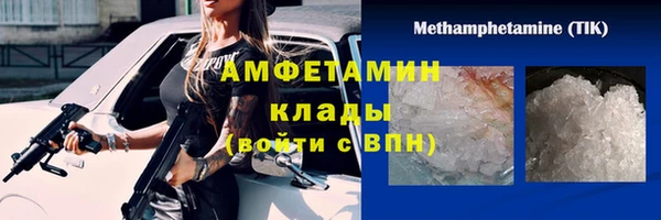 ПСИЛОЦИБИНОВЫЕ ГРИБЫ Инта