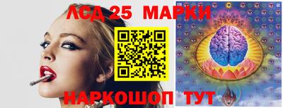 гидропоника Заводоуковск