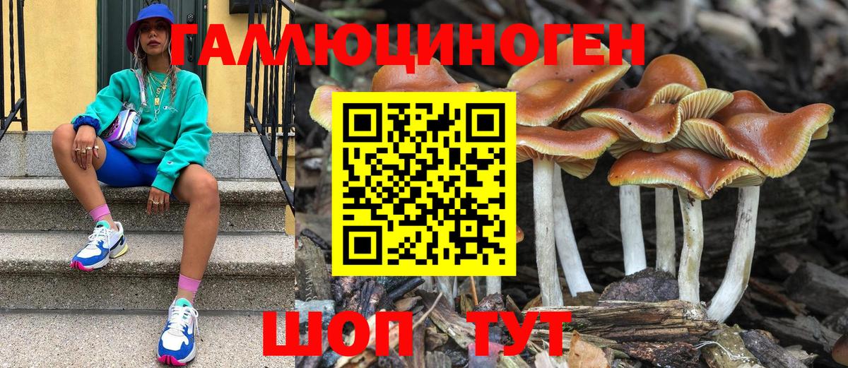 Минусинск  даркнет сайт  Вход с VPN  Псилоцибиновые грибы Psilocybine cubensis  Галлюциногенные грибы мицелий 